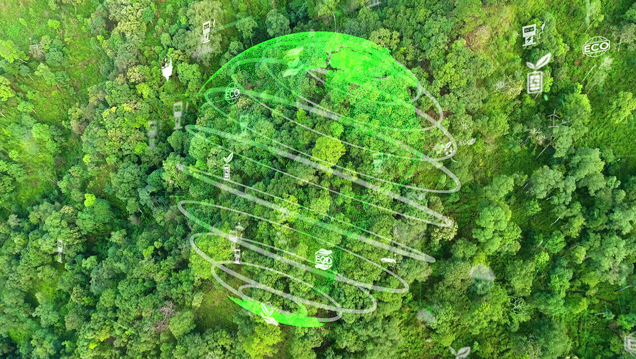 environmental-conservation-sustainable-esg-poolpallets